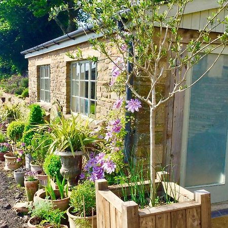 Lavender Cottage Gloucester Dış mekan fotoğraf