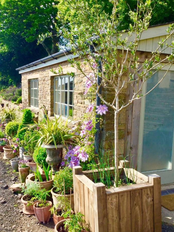 Lavender Cottage Gloucester Dış mekan fotoğraf