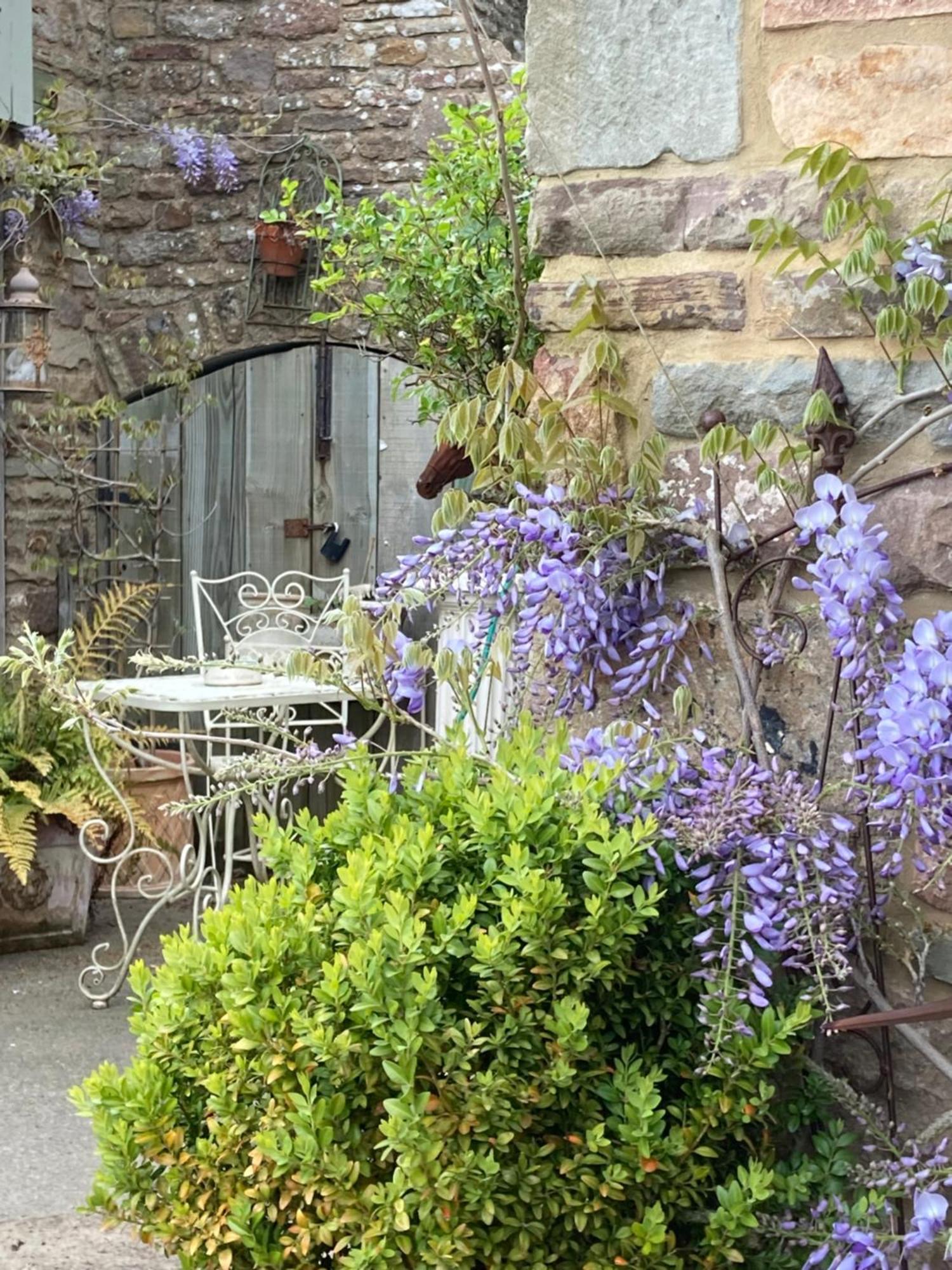 Lavender Cottage Gloucester Dış mekan fotoğraf