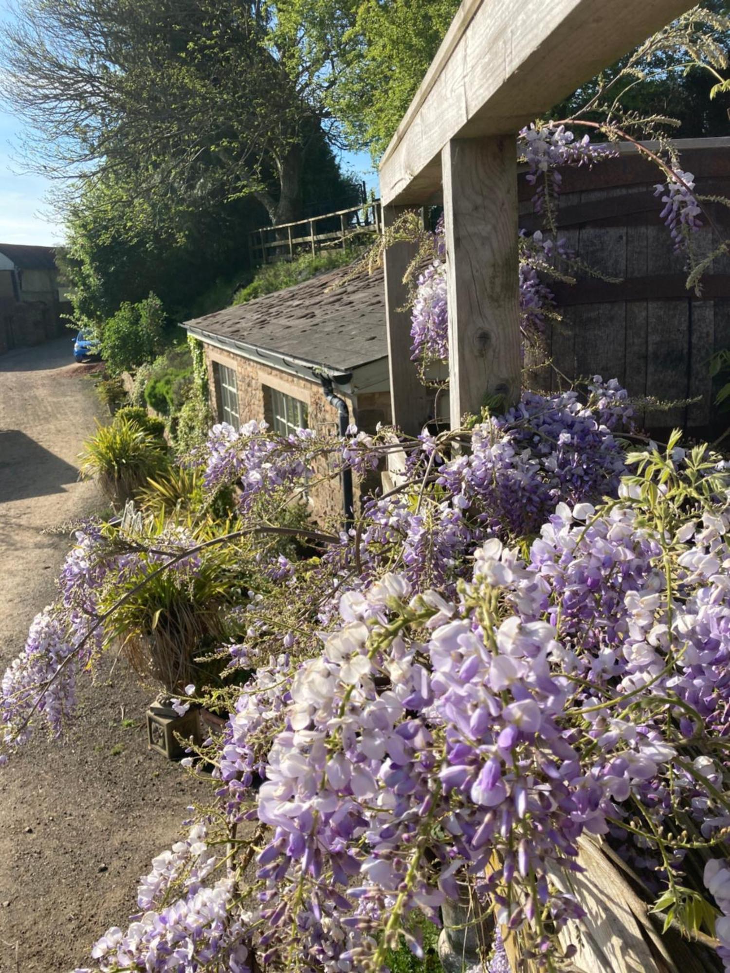 Lavender Cottage Gloucester Dış mekan fotoğraf